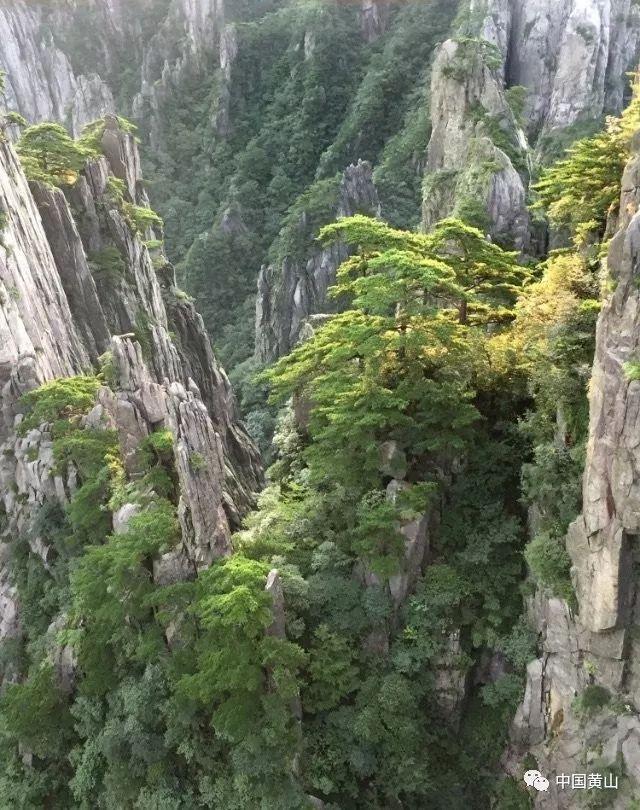 画线进球3无敌版
